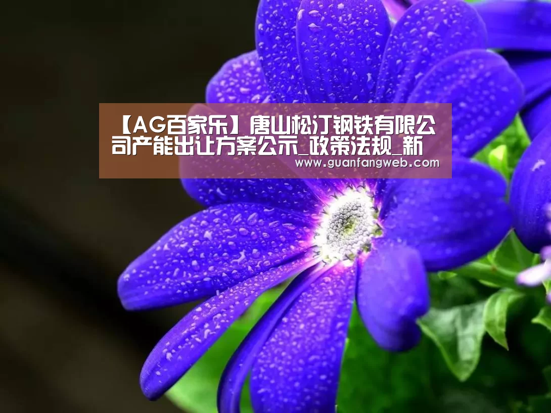 【AG百家乐】唐山松汀钢铁有限公司产能出让方案公示_政策法规_新闻_矿道网(图2) AG服务